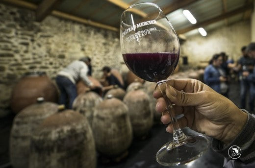 Unser Geheimtipp! Château Mercier Côte de Bourg