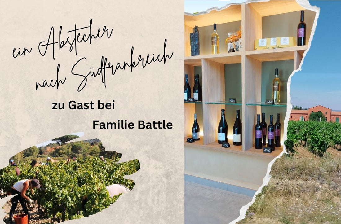 Domaine Mas de Lavail - immer eine Reise wert!!!