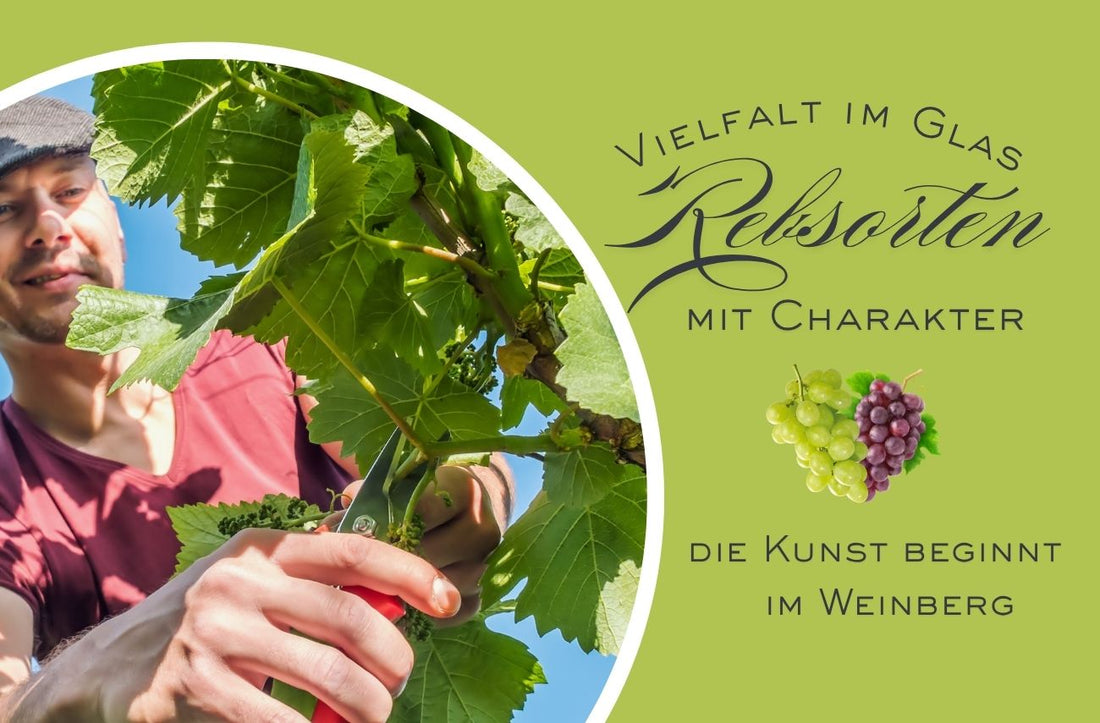 Die Rebsorten großer Weine und Champagner