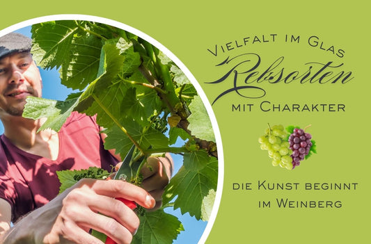 Die Rebsorten großer Weine und Champagner
