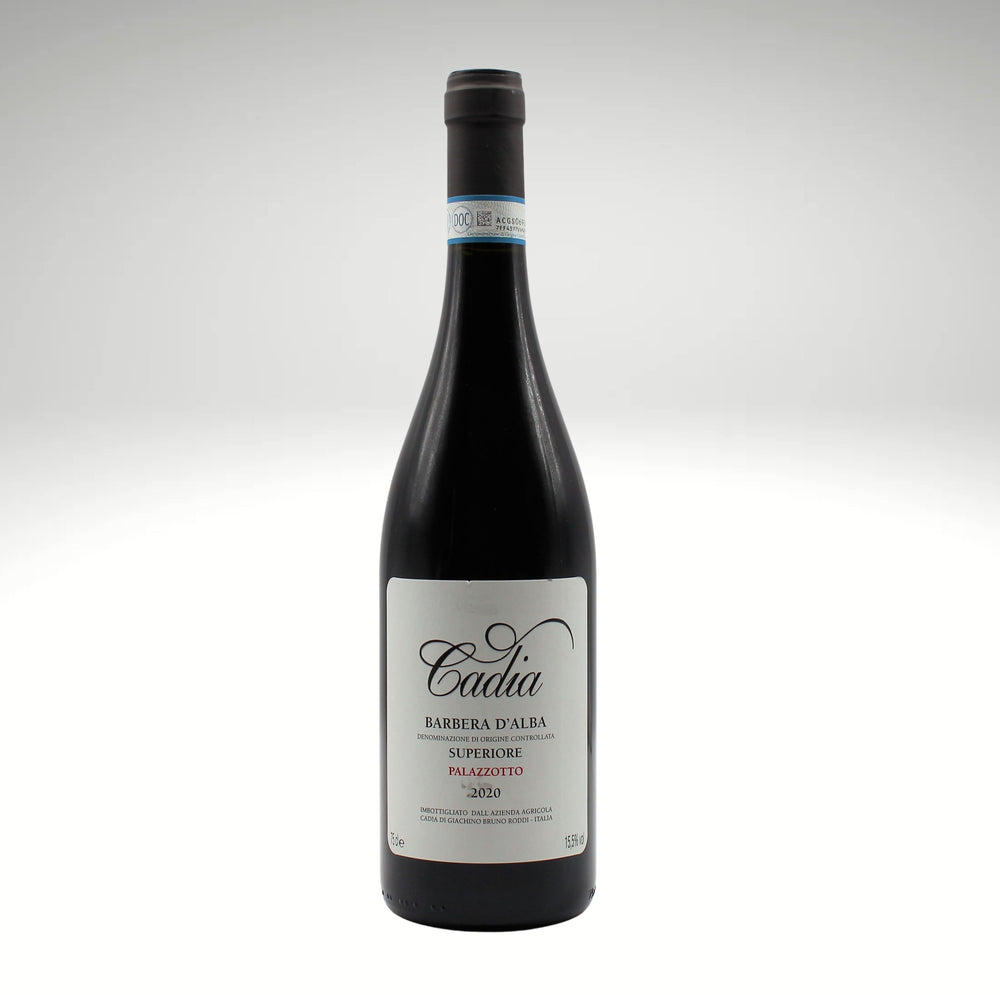2022 Barbera d'Alba Superiore DOCG - Piemont